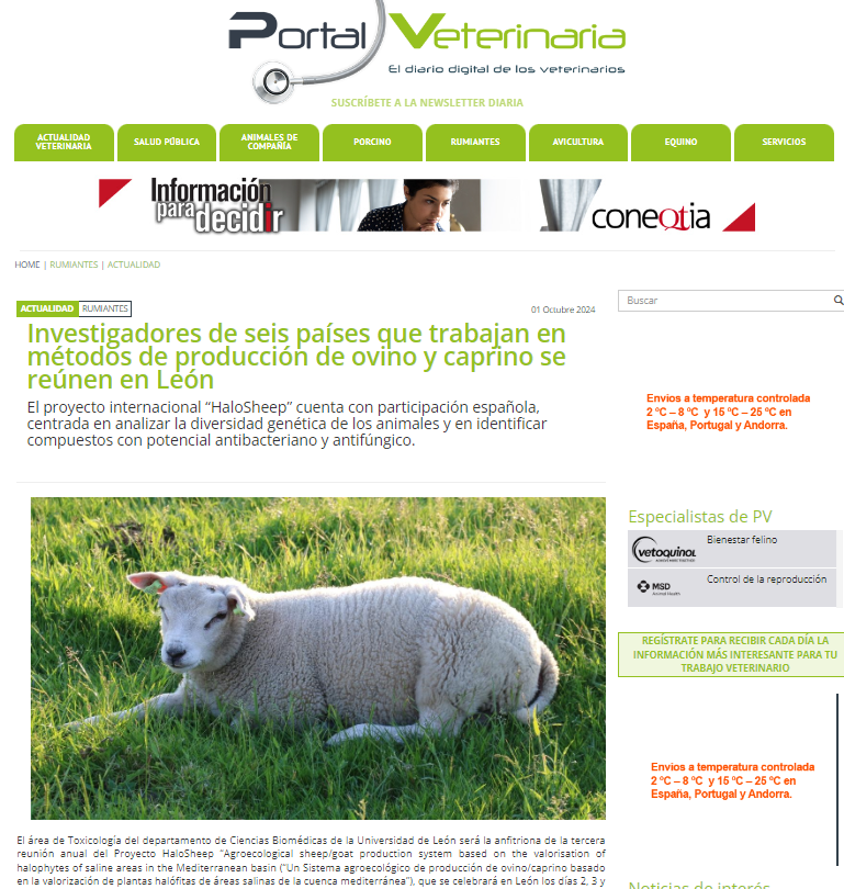 Veteri1