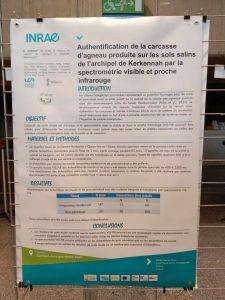 Rencontres Recherches Ruminants2