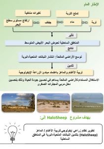 arabe2