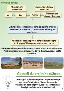 francais2